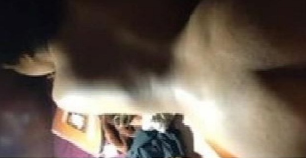 Badi gaand wali ladki ki doggy fucking sex mms