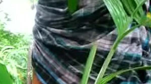 Sexy girl fuck in the field
